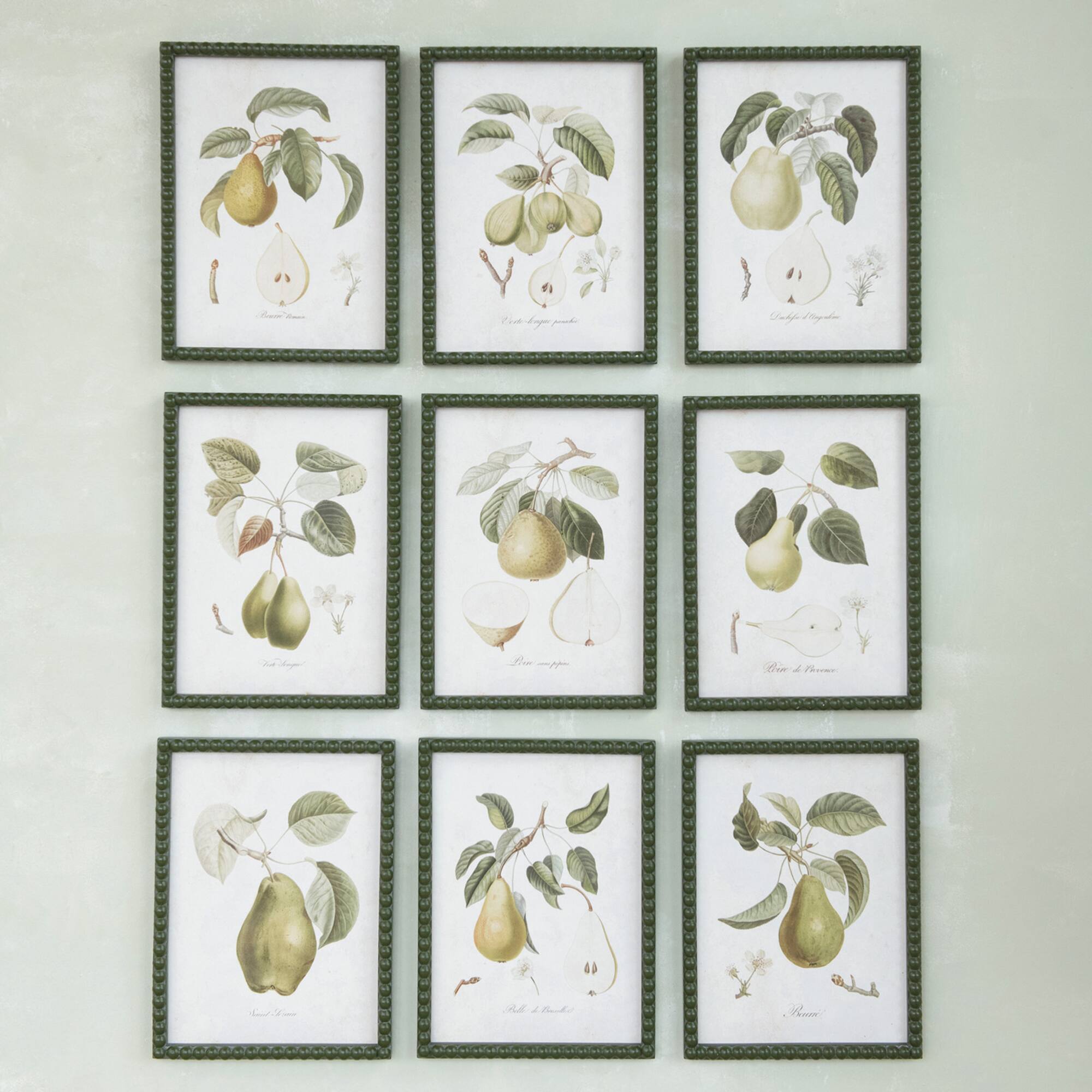 Hello Honey® 11.75" x 15.75" Orchard Essence Pear Print Collection Wall Art Set
